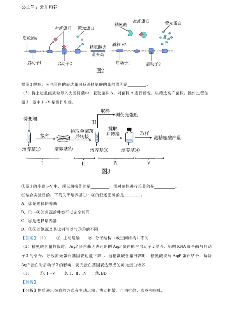 辽宁省锦州市2023-2024学年高二下学期期末考试生物Word版含解析_2024-2025高二（7-7月题库）_2024年07月试卷_0730辽宁省锦州市2023-2024学年高二下学期期末考试