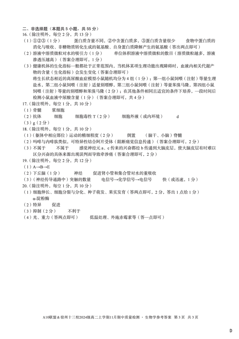 生物学答案（D卷）A10联盟＆宿州十三校2024级高二上学期11月期中质量检测生物学答案D_2025年11月高二试卷_251124安徽省A10联盟＆宿州十三校2024级高二上学期11月期中质量检测（全）