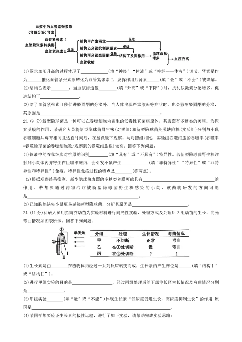 生物试题_2024-2025高二（7-7月题库）_2024年11月试卷_1122金太阳河南省开封五校2024-2025学年高二11月期中联考