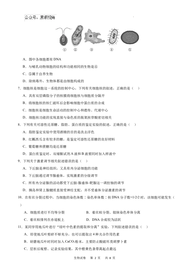 重庆市乌江新高考协作体2024-2025学年高三上学期9月月考生物试卷+答案_2024-2025高三（6-6月题库）_2024年09月试卷_0913重庆市乌江新高考协作体2024-2025学年高三上学期9月月考