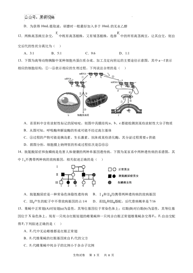 重庆市乌江新高考协作体2024-2025学年高三上学期9月月考生物试卷+答案_2024-2025高三（6-6月题库）_2024年09月试卷_0913重庆市乌江新高考协作体2024-2025学年高三上学期9月月考