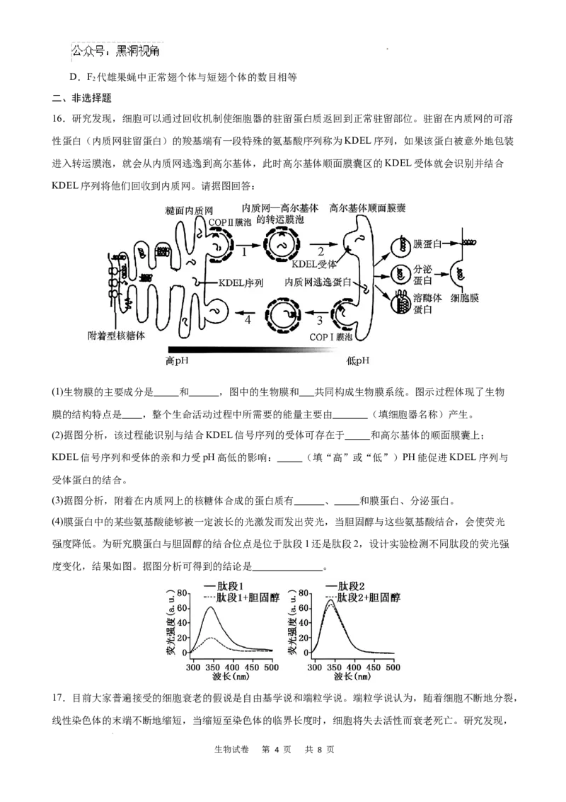 重庆市乌江新高考协作体2024-2025学年高三上学期9月月考生物试卷+答案_2024-2025高三（6-6月题库）_2024年09月试卷_0913重庆市乌江新高考协作体2024-2025学年高三上学期9月月考