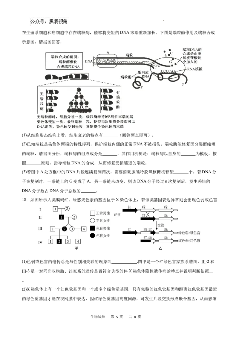 重庆市乌江新高考协作体2024-2025学年高三上学期9月月考生物试卷+答案_2024-2025高三（6-6月题库）_2024年09月试卷_0913重庆市乌江新高考协作体2024-2025学年高三上学期9月月考