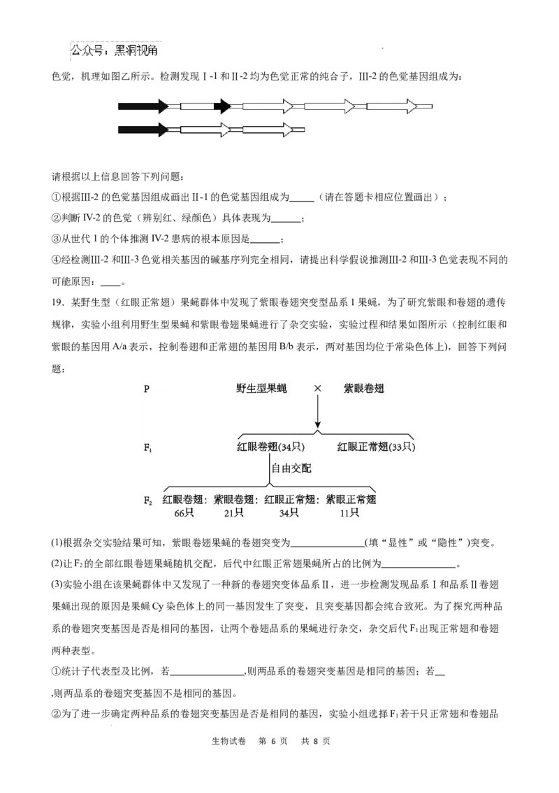重庆市乌江新高考协作体2024-2025学年高三上学期9月月考生物试卷+答案_2024-2025高三（6-6月题库）_2024年09月试卷_0913重庆市乌江新高考协作体2024-2025学年高三上学期9月月考
