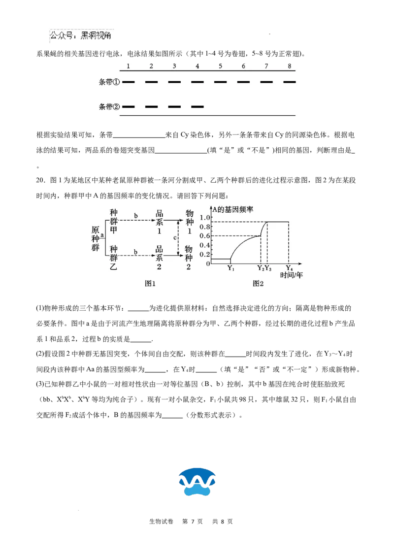 重庆市乌江新高考协作体2024-2025学年高三上学期9月月考生物试卷+答案_2024-2025高三（6-6月题库）_2024年09月试卷_0913重庆市乌江新高考协作体2024-2025学年高三上学期9月月考