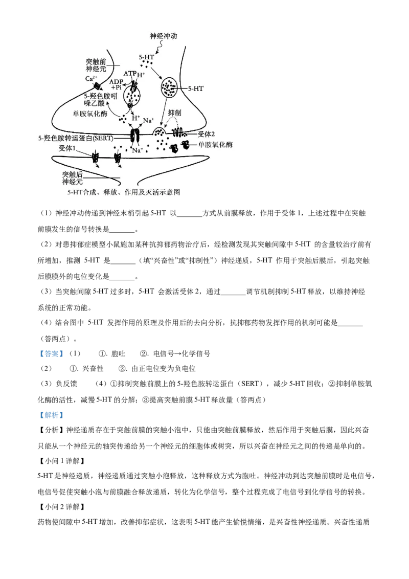 湖南省A佳教育联盟三新教育联考2025-2026学年高二上学期期中联考生物试题Word版含解析_251204湖南省A佳教育联盟三新教育联考2025-2026学年高二上学期期中联考（全）