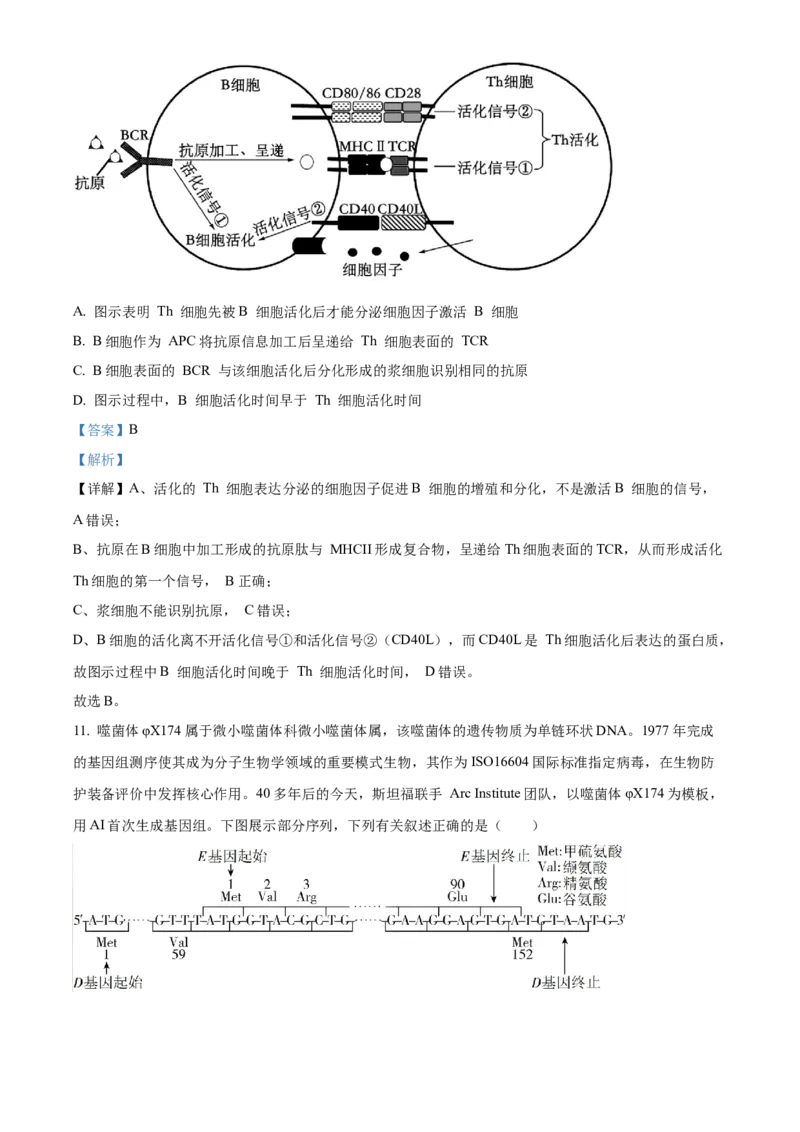 湖南省A佳教育联盟三新教育联考2025-2026学年高二上学期期中联考生物试题Word版含解析_251204湖南省A佳教育联盟三新教育联考2025-2026学年高二上学期期中联考（全）