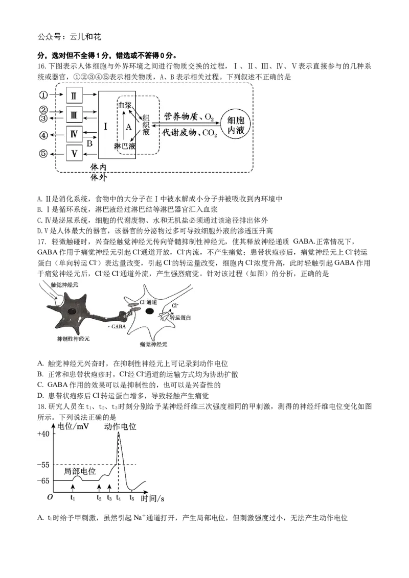 联考高二生物试题_2024年11月试卷_1102江苏省扬州市六校联盟2024-2025学年高二上学期第一次联考_江苏省扬州市六校联盟2024-2025学年高二上学期第一次联考试题生物Word版含答案