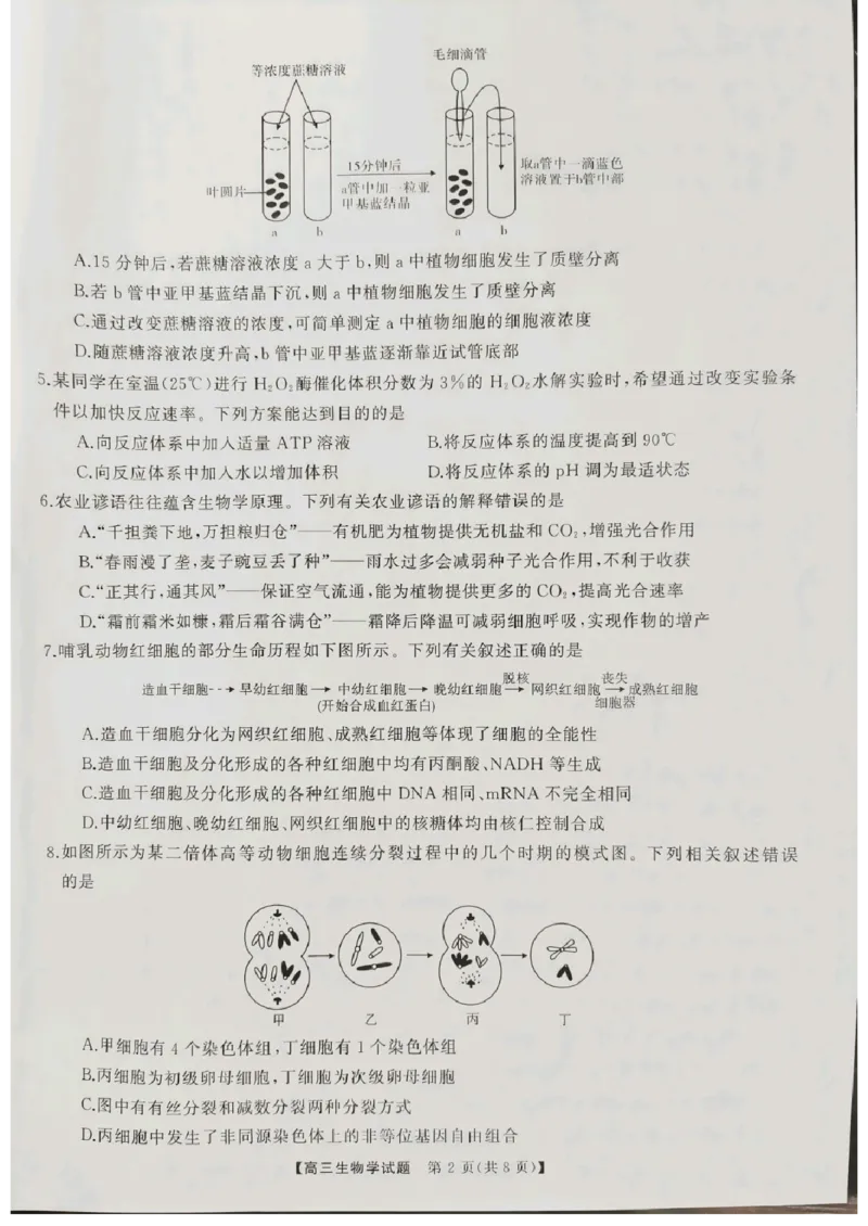 生物_2024-2025高三（6-6月题库）_2024年10月试卷_1028山西省三重教育2025届高三10月联考_山西省三重教育2025届10月联考生物