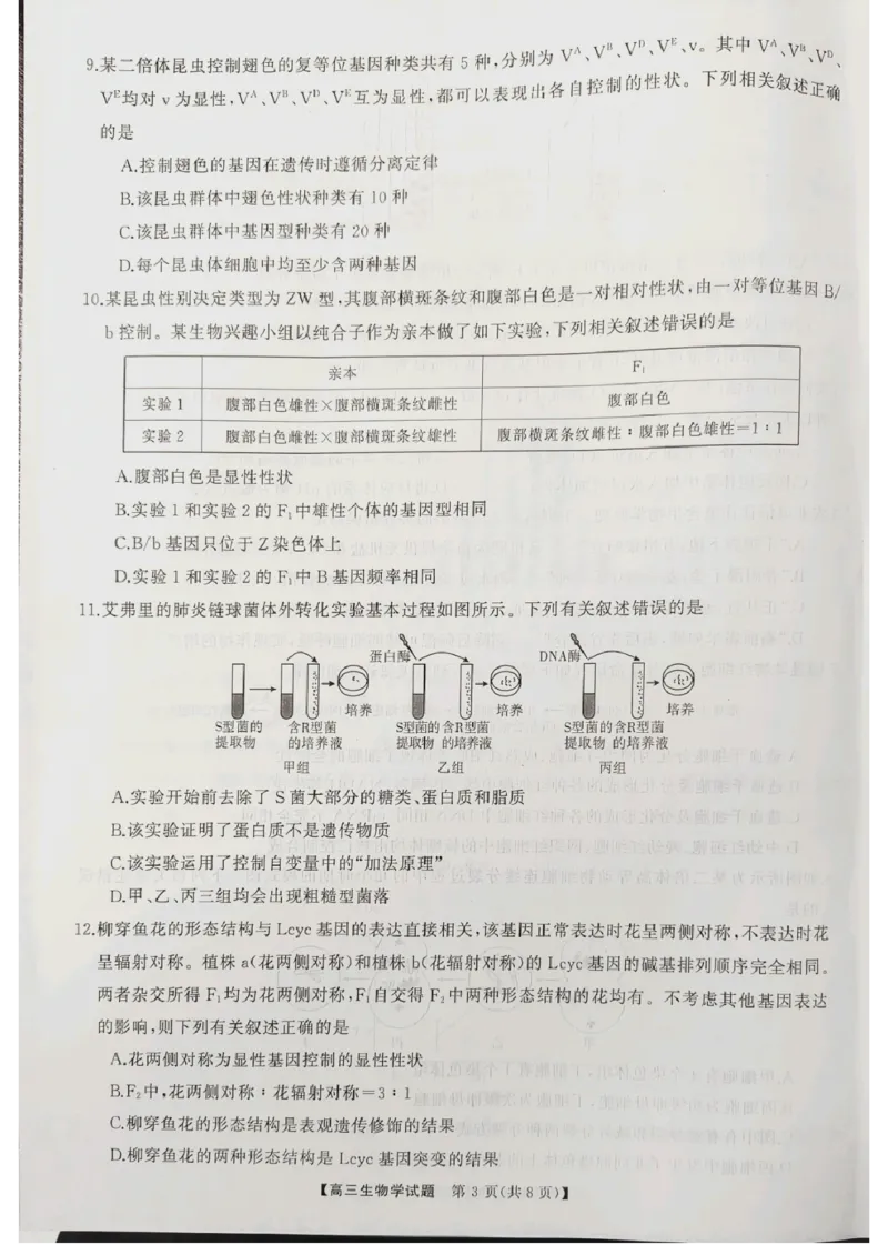 生物_2024-2025高三（6-6月题库）_2024年10月试卷_1028山西省三重教育2025届高三10月联考_山西省三重教育2025届10月联考生物