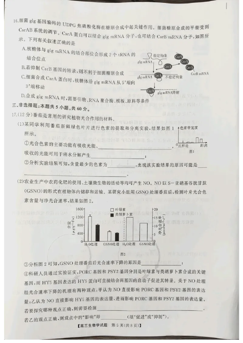 生物_2024-2025高三（6-6月题库）_2024年10月试卷_1028山西省三重教育2025届高三10月联考_山西省三重教育2025届10月联考生物