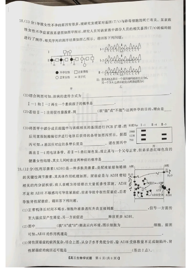 生物_2024-2025高三（6-6月题库）_2024年10月试卷_1028山西省三重教育2025届高三10月联考_山西省三重教育2025届10月联考生物