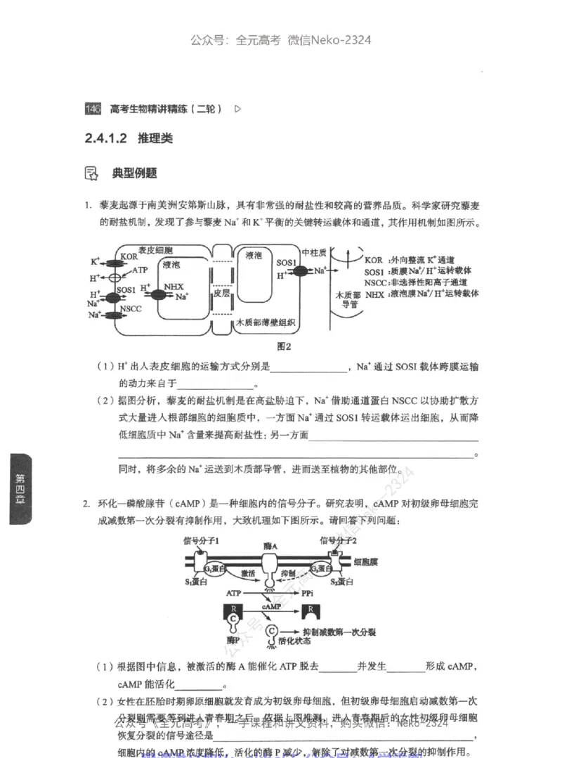 高考生物精讲精练二轮-344黑白@_2024-2025高三（6-6月题库）_2024年09月试卷_万猛