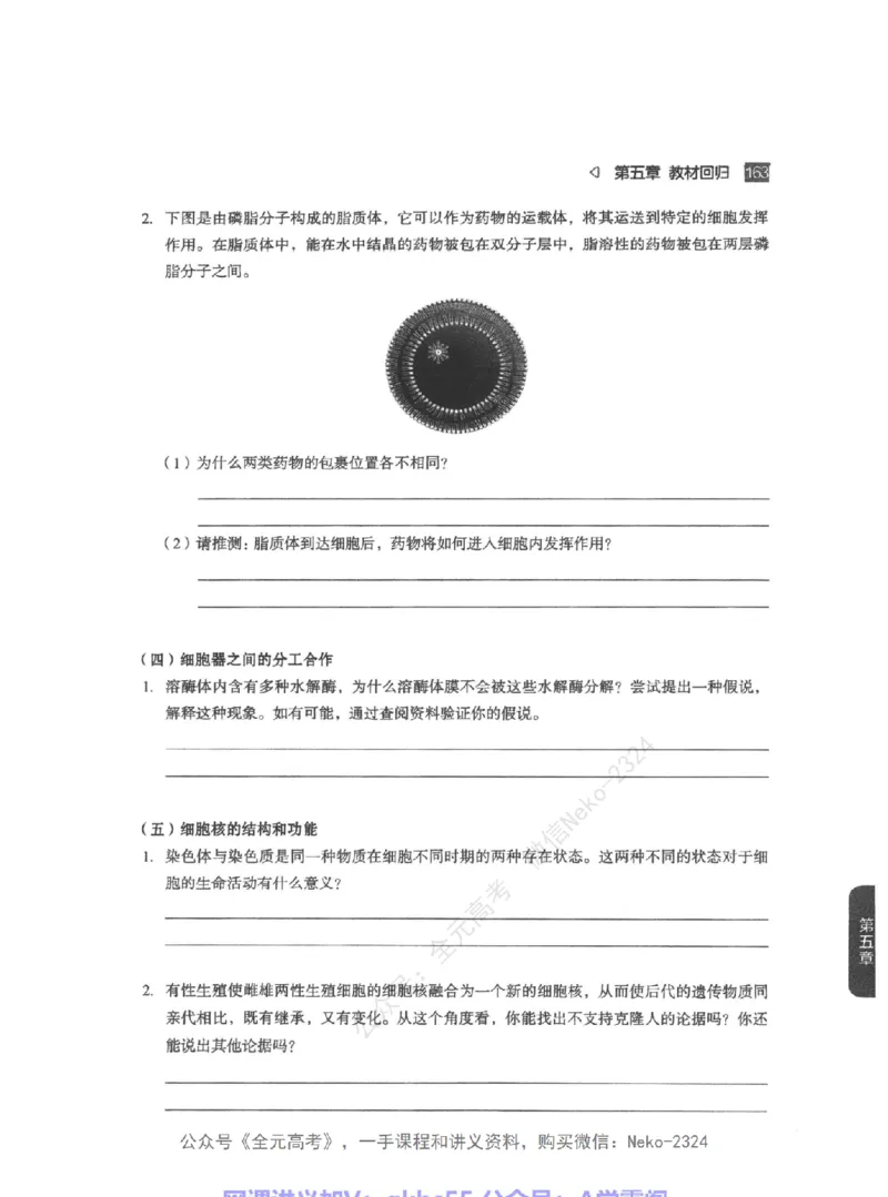 高考生物精讲精练二轮-344黑白@_2024-2025高三（6-6月题库）_2024年09月试卷_万猛