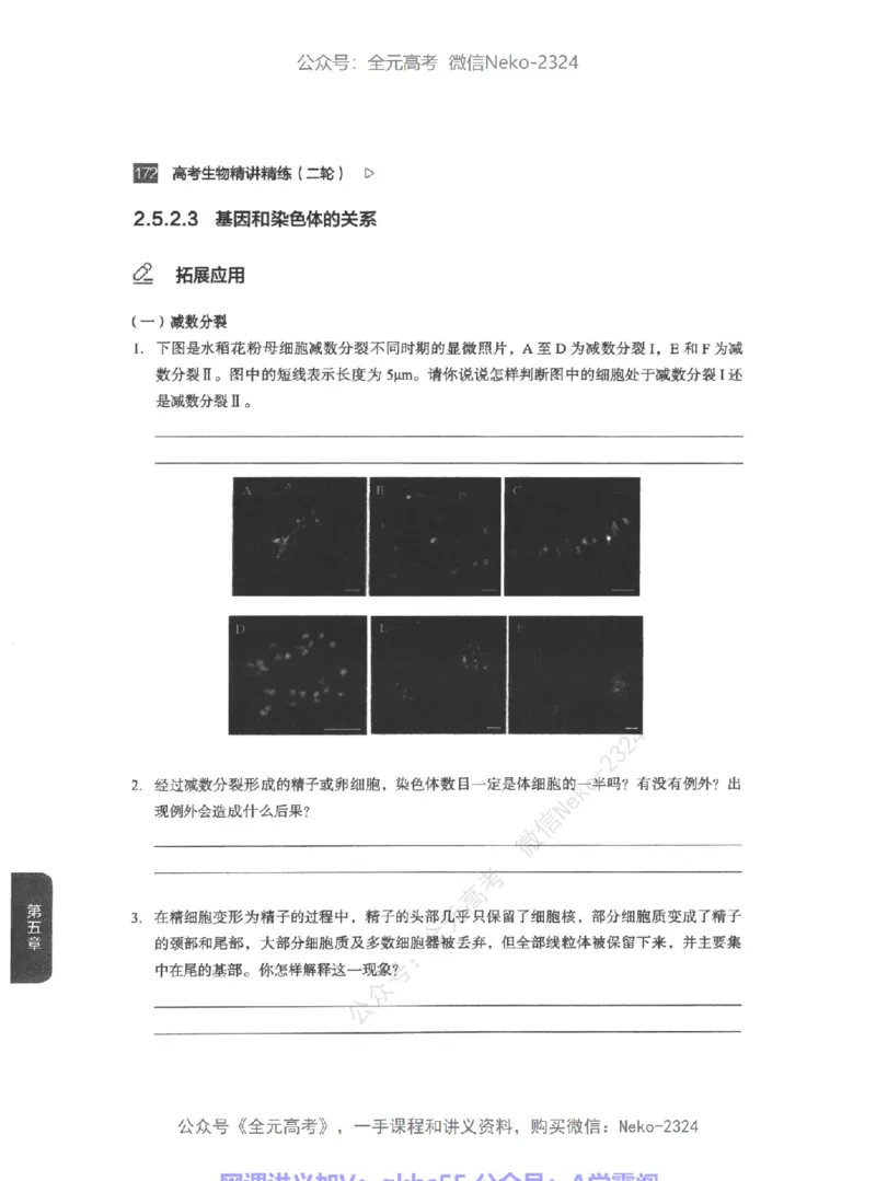 高考生物精讲精练二轮-344黑白@_2024-2025高三（6-6月题库）_2024年09月试卷_万猛