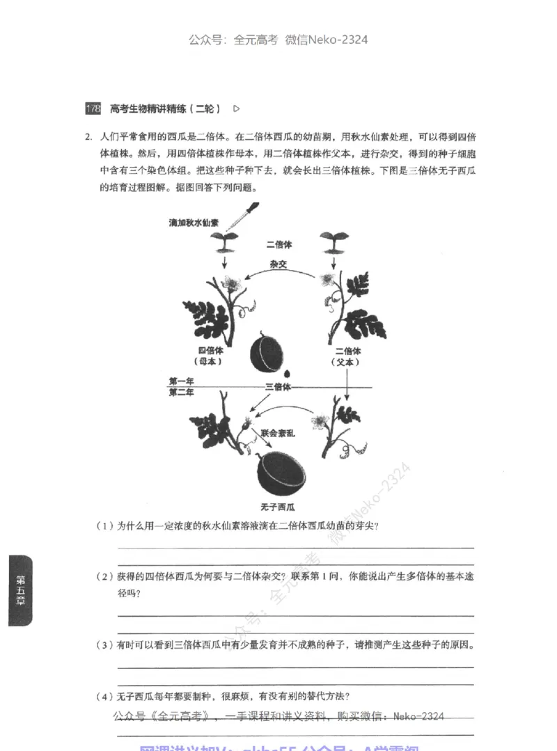 高考生物精讲精练二轮-344黑白@_2024-2025高三（6-6月题库）_2024年09月试卷_万猛