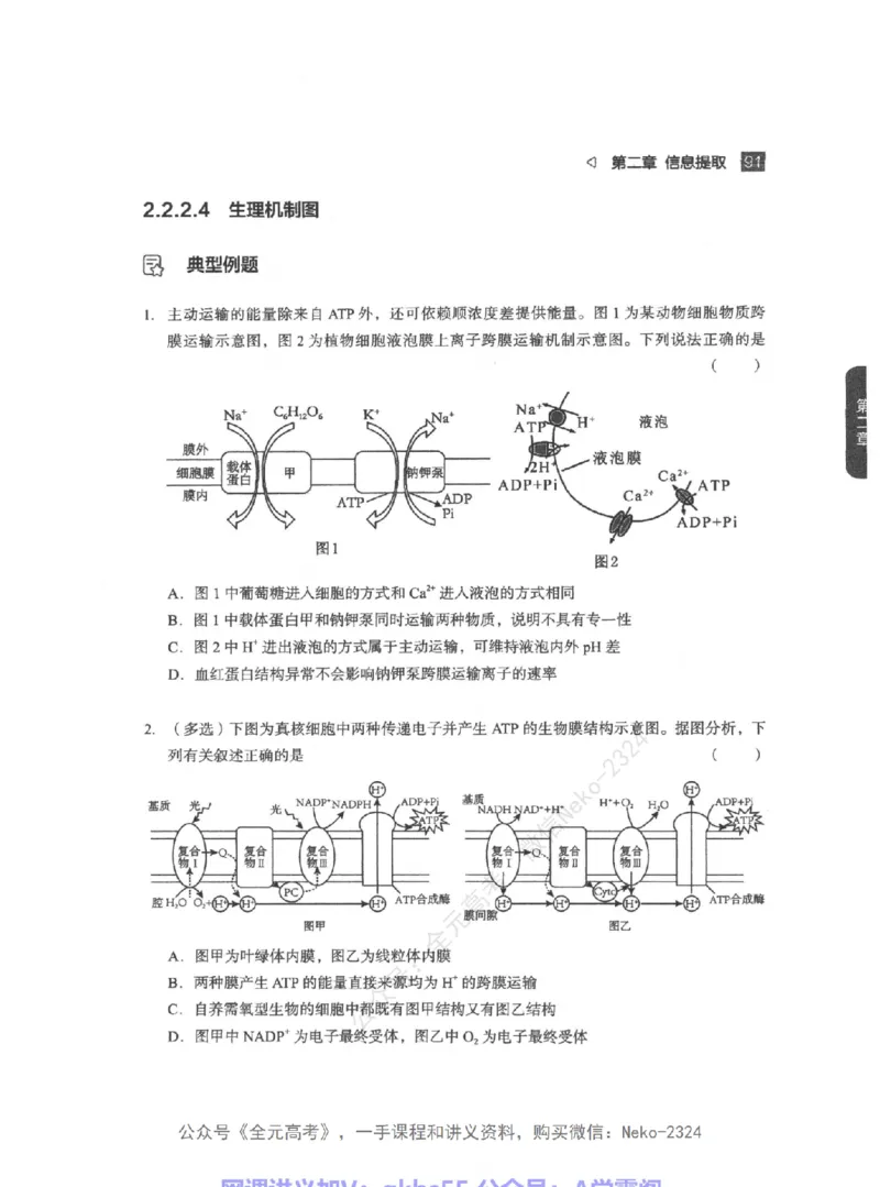 高考生物精讲精练二轮-344黑白@_2024-2025高三（6-6月题库）_2024年09月试卷_万猛