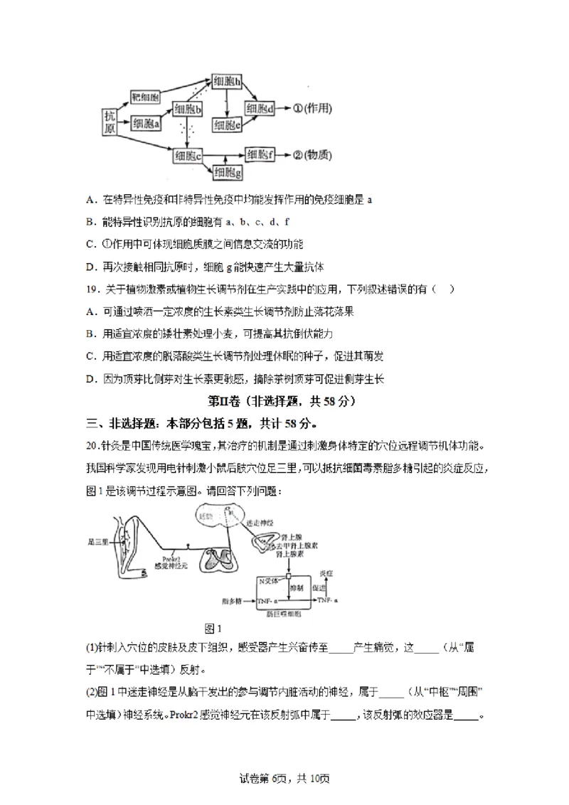 生物试卷江苏省南京市2024-2025学年高二上学期期中考试试题_2024-2025高二（7-7月题库）_2024年11月试卷_1111江苏省南京市2024-2025学年高二上学期11月期中