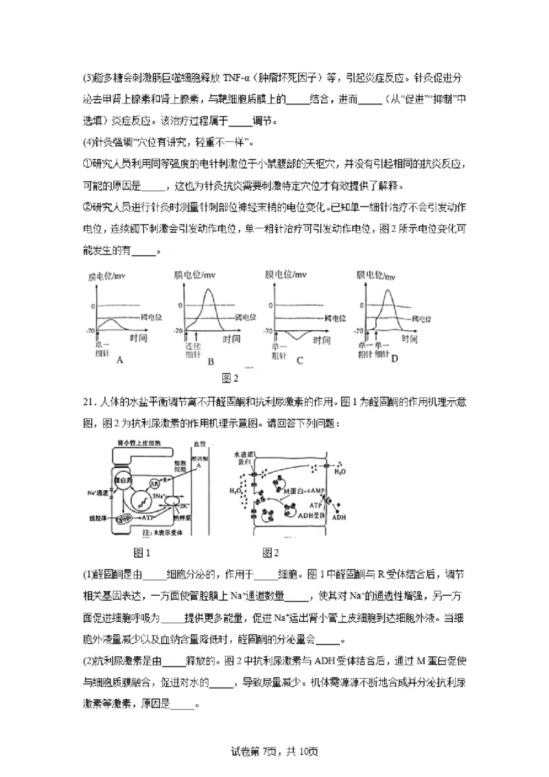 生物试卷江苏省南京市2024-2025学年高二上学期期中考试试题_2024-2025高二（7-7月题库）_2024年11月试卷_1111江苏省南京市2024-2025学年高二上学期11月期中