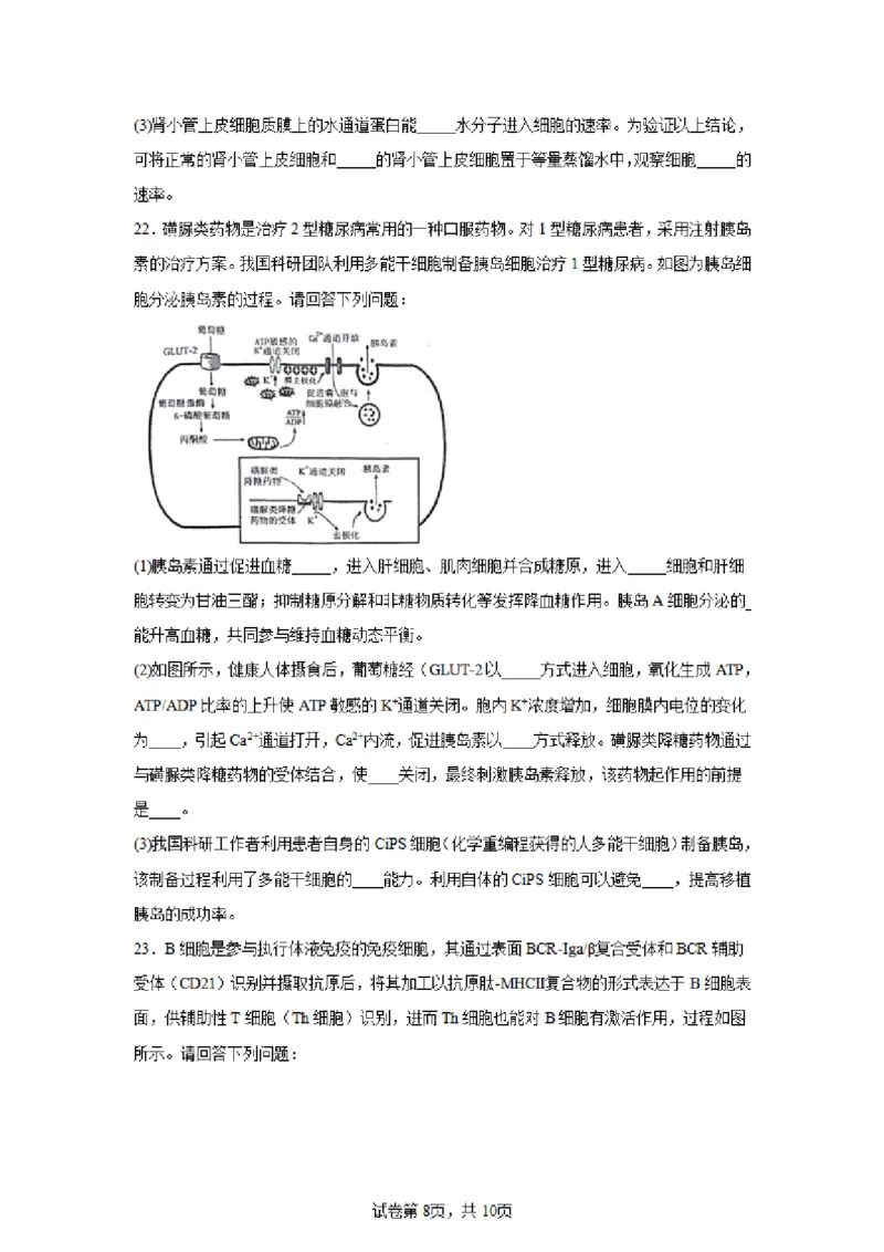 生物试卷江苏省南京市2024-2025学年高二上学期期中考试试题_2024-2025高二（7-7月题库）_2024年11月试卷_1111江苏省南京市2024-2025学年高二上学期11月期中