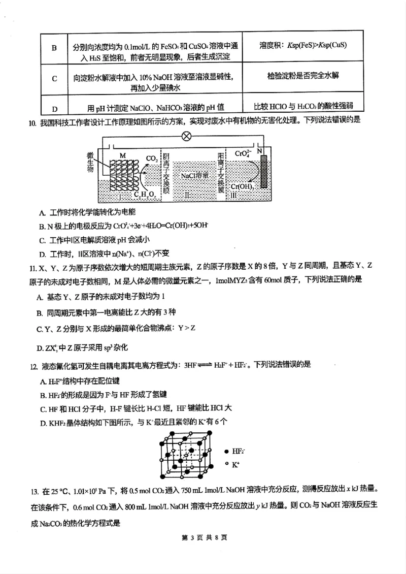 重庆育才中学2025届高三12月月考化学+答案_2024-2025高三（6-6月题库）_2024年12月试卷_1213重庆育才中学2025届高三12月月考