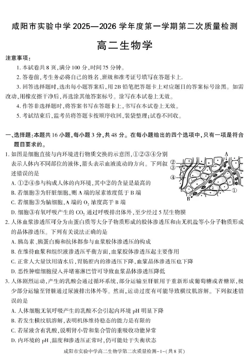 陕西省咸阳市实验中学2025-2026学年高二上学期第二次质量检测生物试卷_251208陕西省咸阳市实验中学2025-2026学年高二上学期第二次质量检测（全）