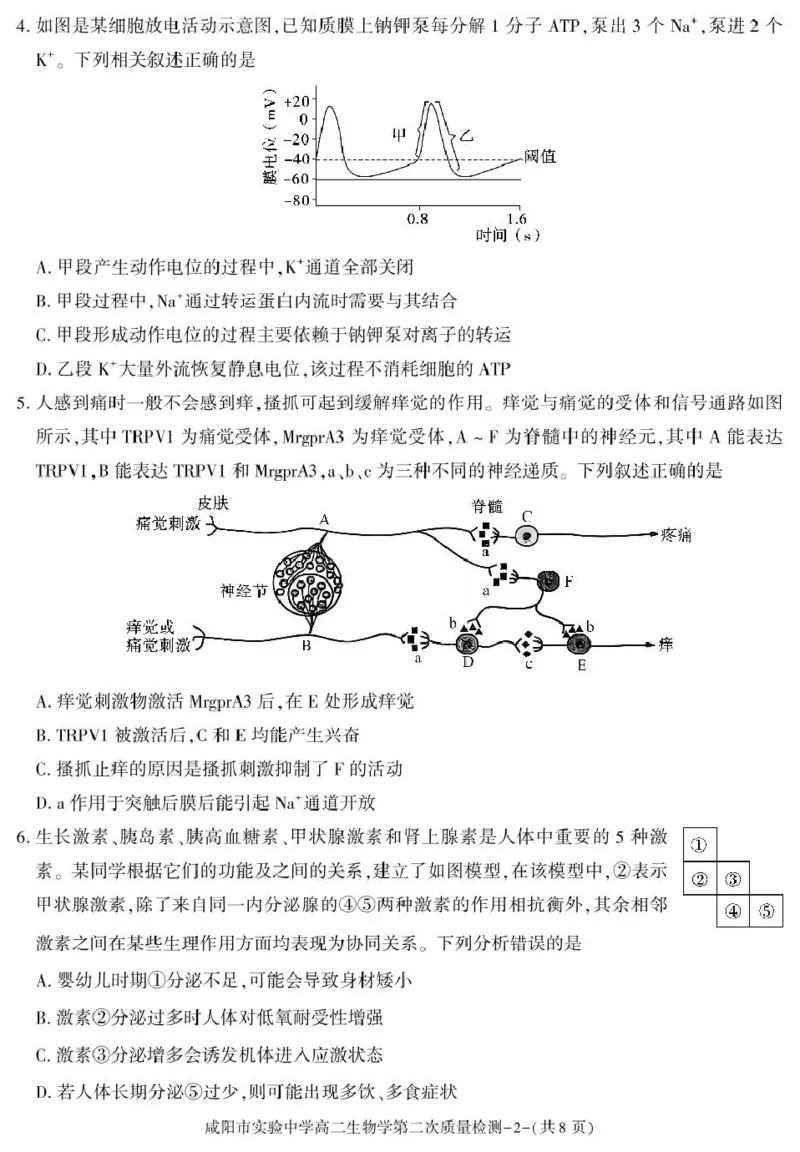 陕西省咸阳市实验中学2025-2026学年高二上学期第二次质量检测生物试卷_251208陕西省咸阳市实验中学2025-2026学年高二上学期第二次质量检测（全）