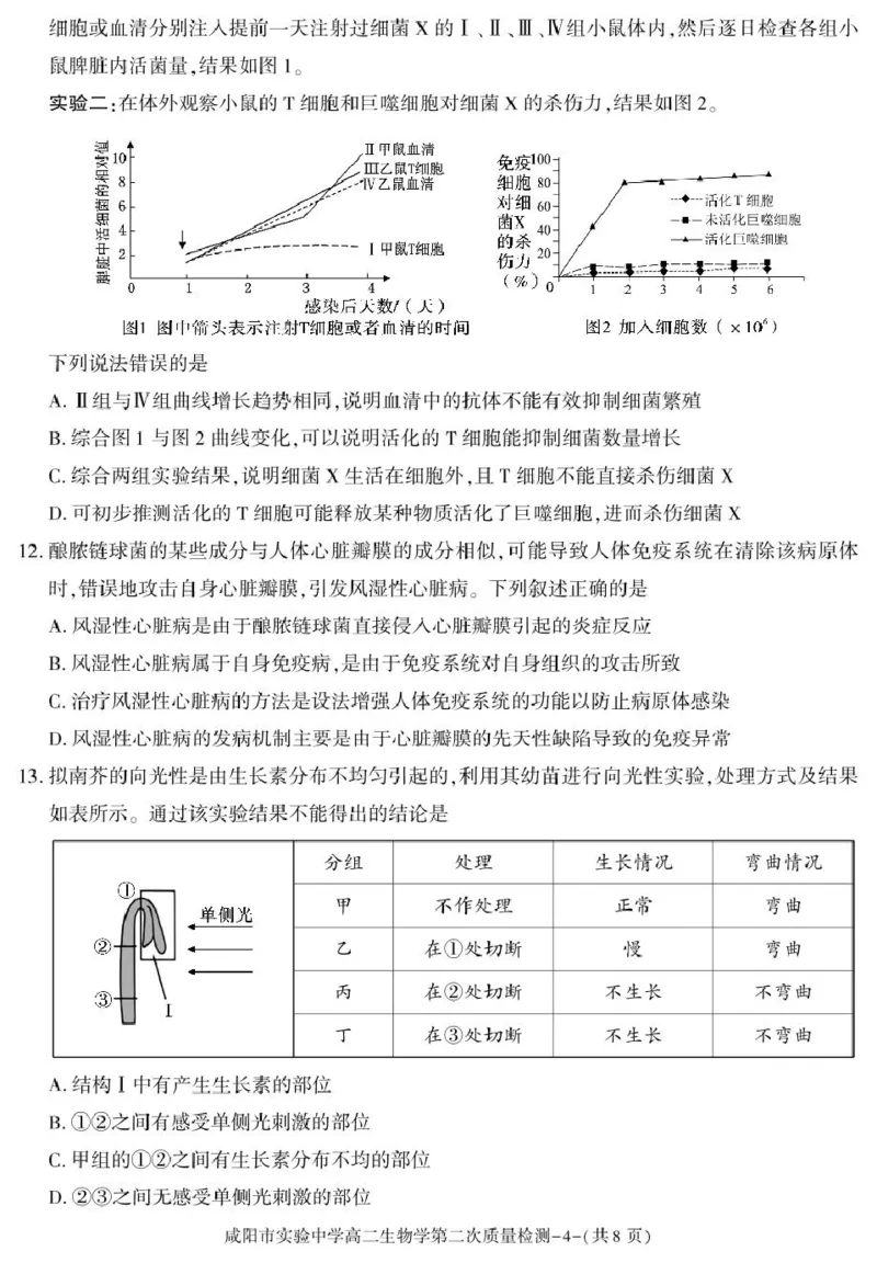 陕西省咸阳市实验中学2025-2026学年高二上学期第二次质量检测生物试卷_251208陕西省咸阳市实验中学2025-2026学年高二上学期第二次质量检测（全）