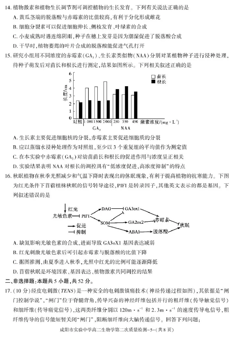 陕西省咸阳市实验中学2025-2026学年高二上学期第二次质量检测生物试卷_251208陕西省咸阳市实验中学2025-2026学年高二上学期第二次质量检测（全）