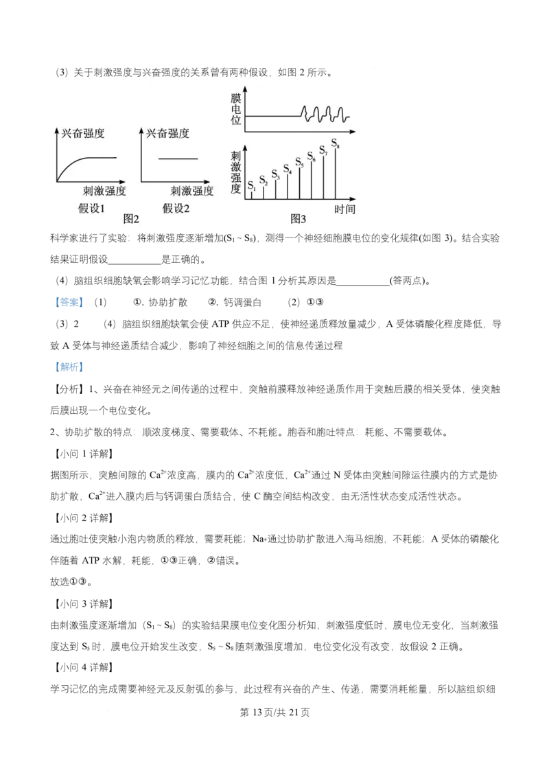 湖南省长沙市师大附中2025-2026学年高二上学期第1次月考生物试题Word版含解析_2025年11月高二试卷_251107湖南省长沙市师大附中2025-2026学年高二上学期10月第一次月考
