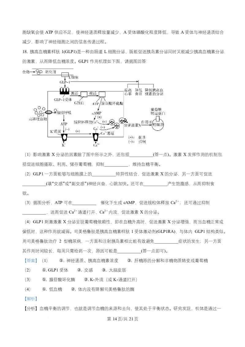 湖南省长沙市师大附中2025-2026学年高二上学期第1次月考生物试题Word版含解析_2025年11月高二试卷_251107湖南省长沙市师大附中2025-2026学年高二上学期10月第一次月考