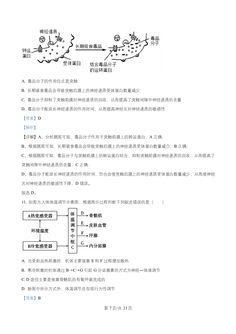 湖南省长沙市师大附中2025-2026学年高二上学期第1次月考生物试题Word版含解析_2025年11月高二试卷_251107湖南省长沙市师大附中2025-2026学年高二上学期10月第一次月考