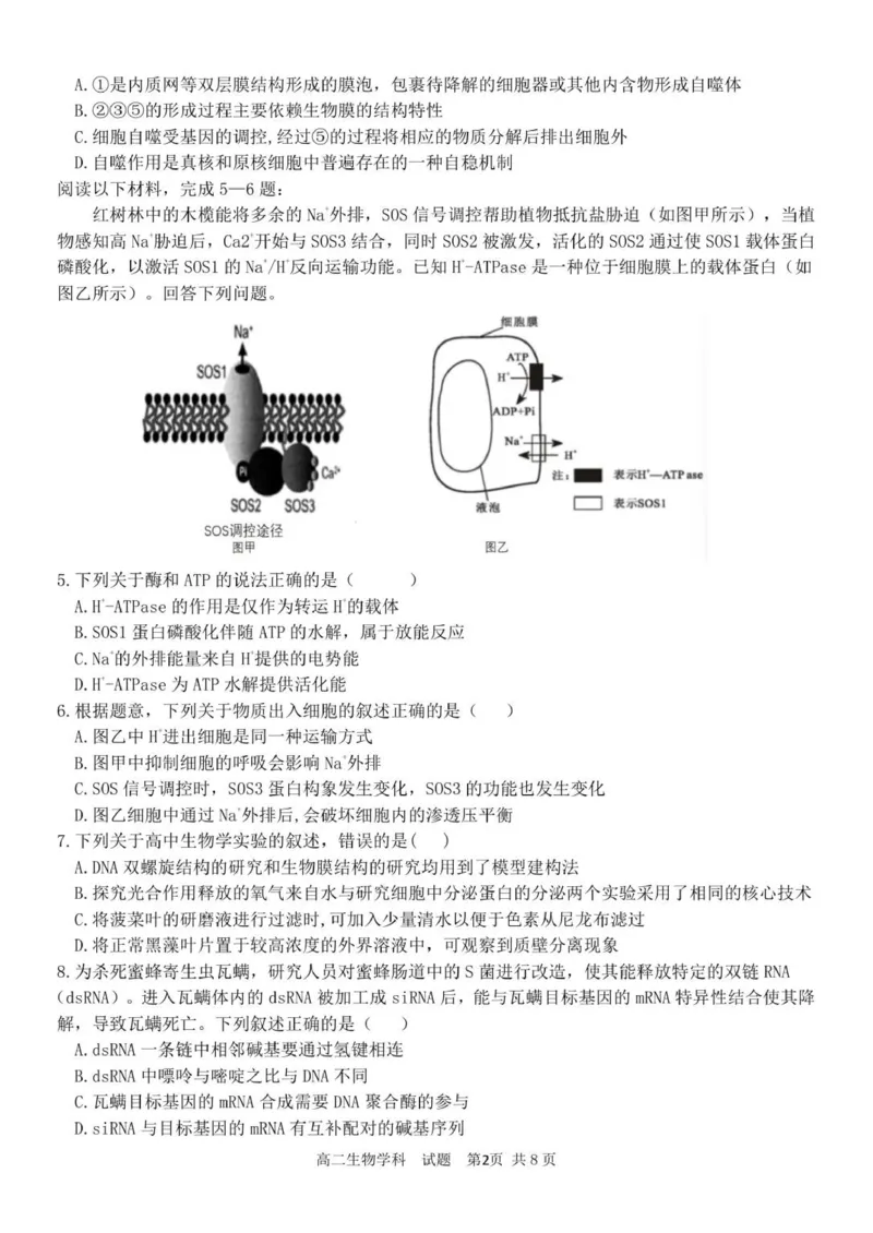 高二生物试卷_251210浙江省温州十校联合体2025-2026学年高二上学期11月期中（全）_浙江省温州十校2025-2026学年高二上学期11月期中生物试题（PDF版，含答案）
