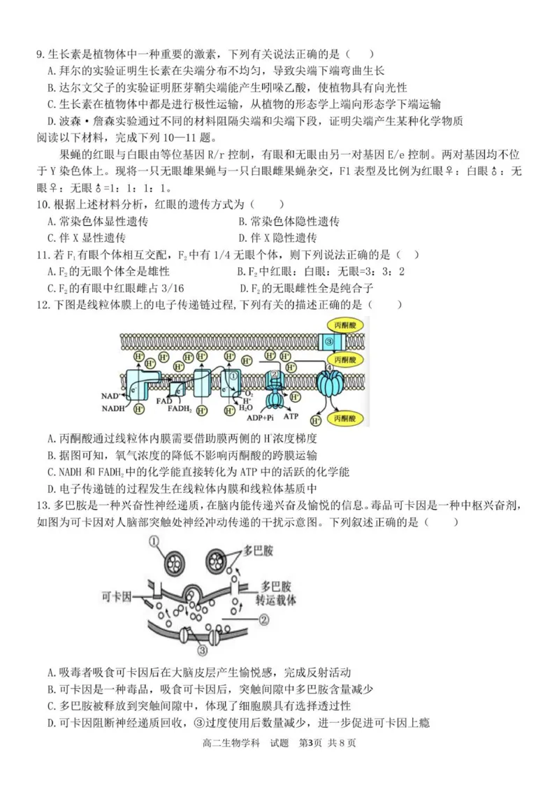 高二生物试卷_251210浙江省温州十校联合体2025-2026学年高二上学期11月期中（全）_浙江省温州十校2025-2026学年高二上学期11月期中生物试题（PDF版，含答案）