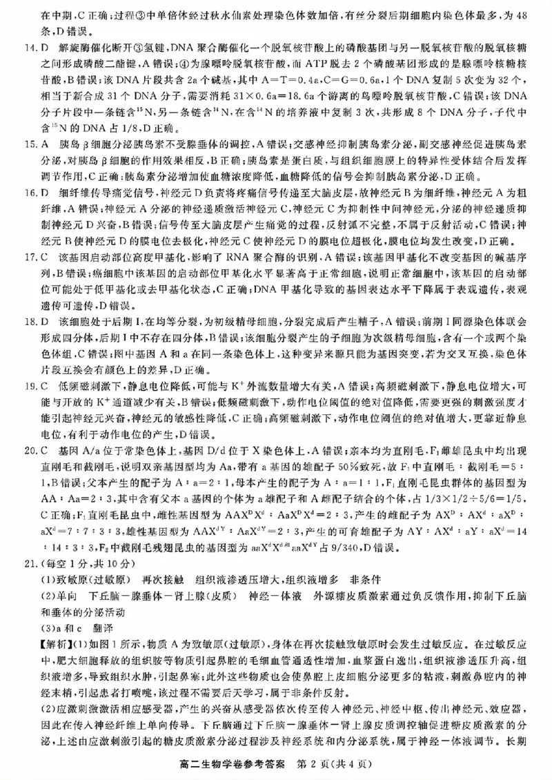 生物答案_2025年11月高二试卷_251126浙江省卓越高中联盟2025-2026学年高二上学期11月期中联考（全）_浙江省卓越高中联盟2025-2026学年高二上学期11月期中联考生物试题（图片版，含答案）