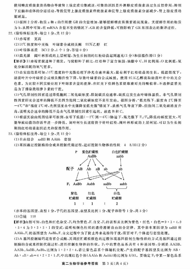 生物答案_2025年11月高二试卷_251126浙江省卓越高中联盟2025-2026学年高二上学期11月期中联考（全）_浙江省卓越高中联盟2025-2026学年高二上学期11月期中联考生物试题（图片版，含答案）