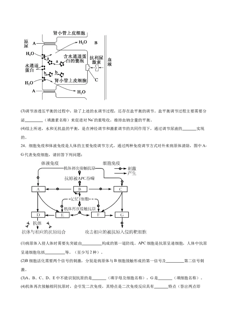 辽宁省实验中学2025-2026学年高二上学期期中阶段测试生物Word版含答案_251218辽宁省实验中学2025-2026学年高二上学期期中阶段测试（全）