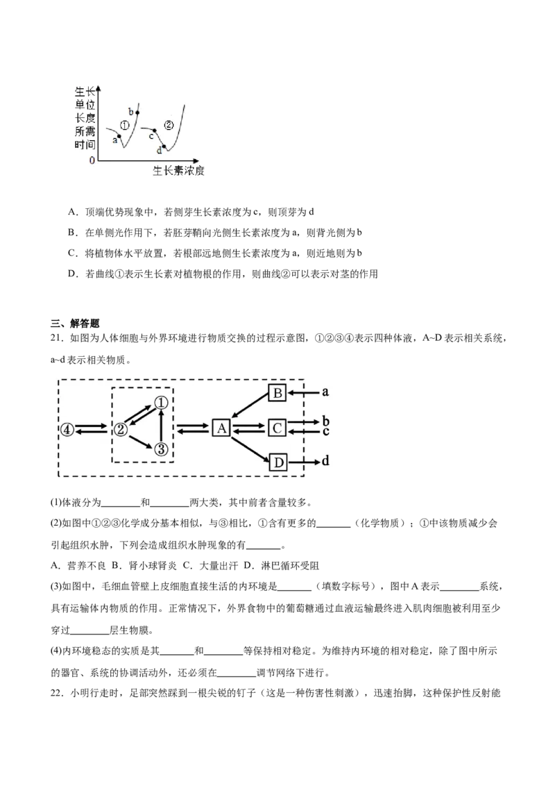 辽宁省实验中学2025-2026学年高二上学期期中阶段测试生物Word版含答案_251218辽宁省实验中学2025-2026学年高二上学期期中阶段测试（全）