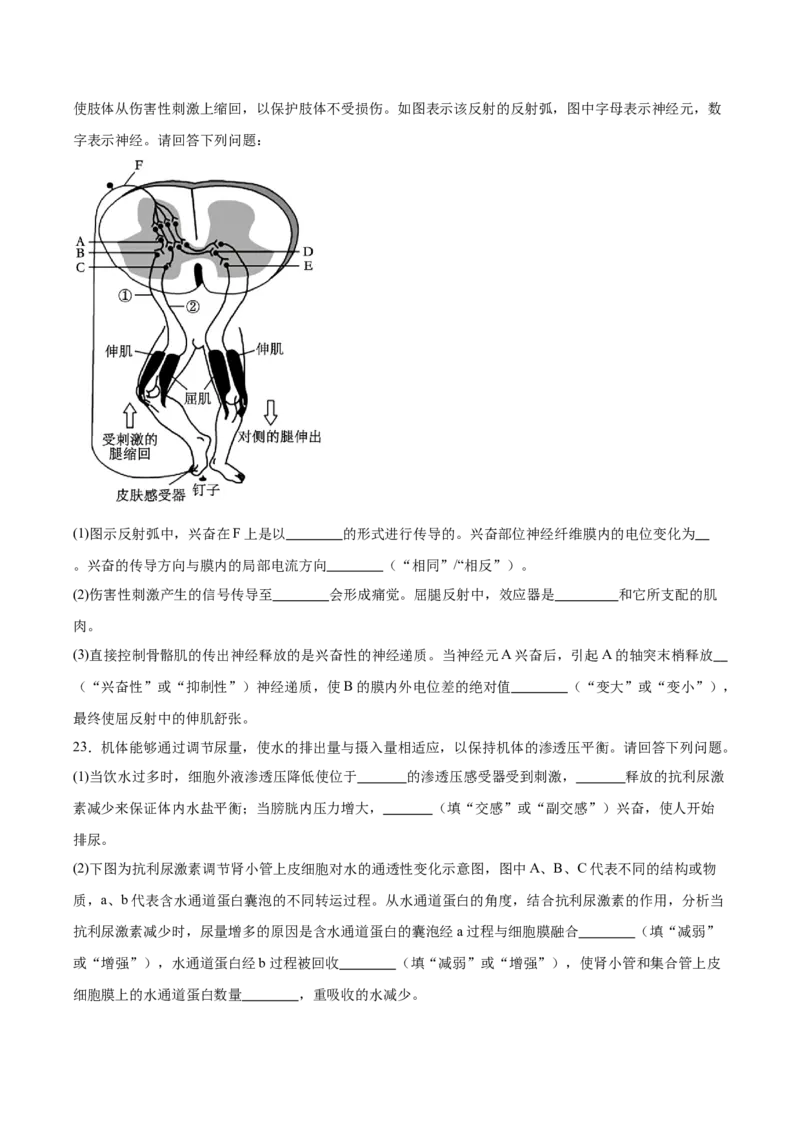 辽宁省实验中学2025-2026学年高二上学期期中阶段测试生物Word版含答案_251218辽宁省实验中学2025-2026学年高二上学期期中阶段测试（全）