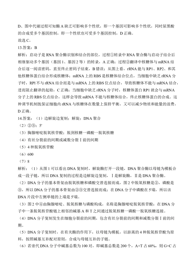 （9）遗传的分子基础&mdash;&mdash;高考生物二轮复习易错重难提升（含解析）_2024-2025高三（6-6月题库）_2026年1月高三_260104高考生物二轮复习易错重难提升（含解析）