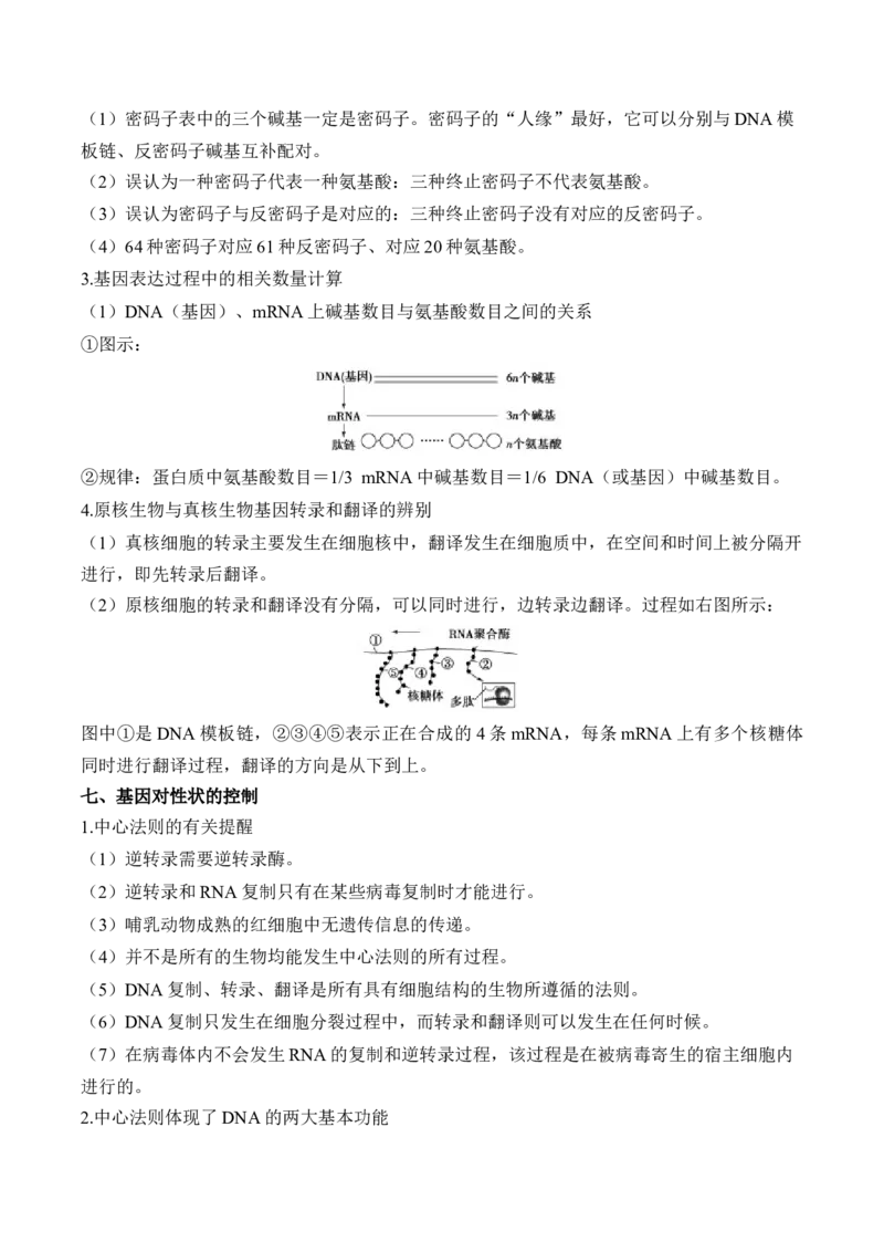 （9）遗传的分子基础&mdash;&mdash;高考生物二轮复习易错重难提升（含解析）_2024-2025高三（6-6月题库）_2026年1月高三_260104高考生物二轮复习易错重难提升（含解析）