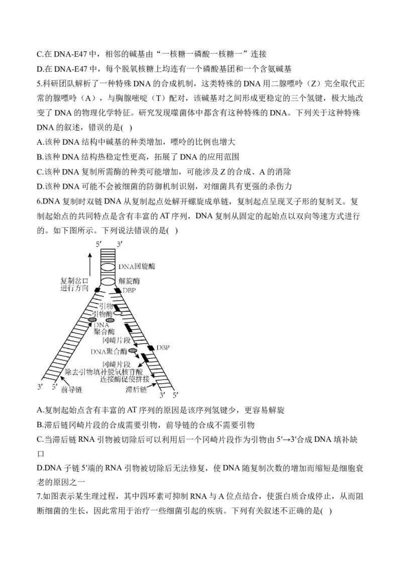（9）遗传的分子基础&mdash;&mdash;高考生物二轮复习易错重难提升（含解析）_2024-2025高三（6-6月题库）_2026年1月高三_260104高考生物二轮复习易错重难提升（含解析）
