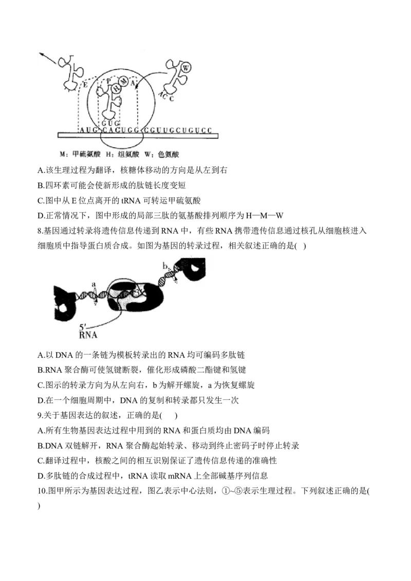 （9）遗传的分子基础&mdash;&mdash;高考生物二轮复习易错重难提升（含解析）_2024-2025高三（6-6月题库）_2026年1月高三_260104高考生物二轮复习易错重难提升（含解析）
