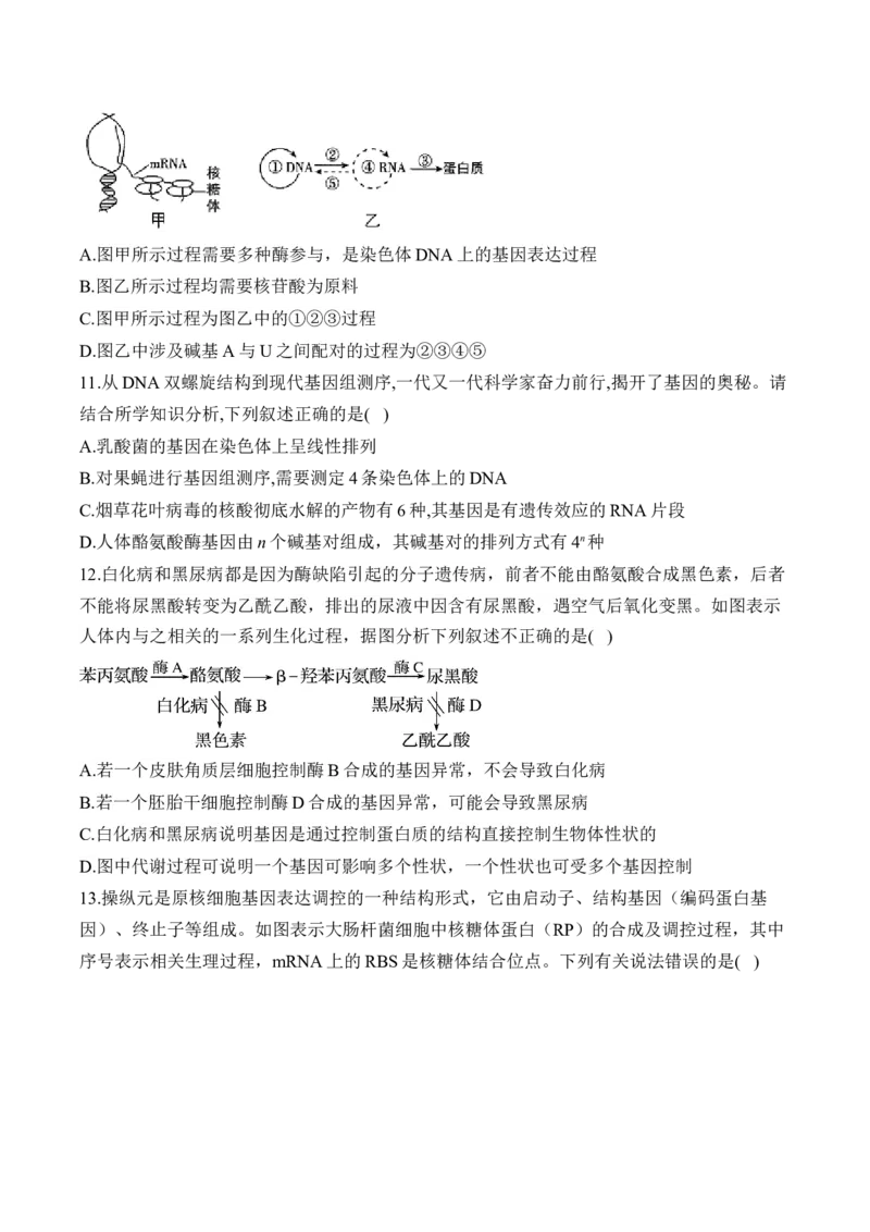 （9）遗传的分子基础&mdash;&mdash;高考生物二轮复习易错重难提升（含解析）_2024-2025高三（6-6月题库）_2026年1月高三_260104高考生物二轮复习易错重难提升（含解析）