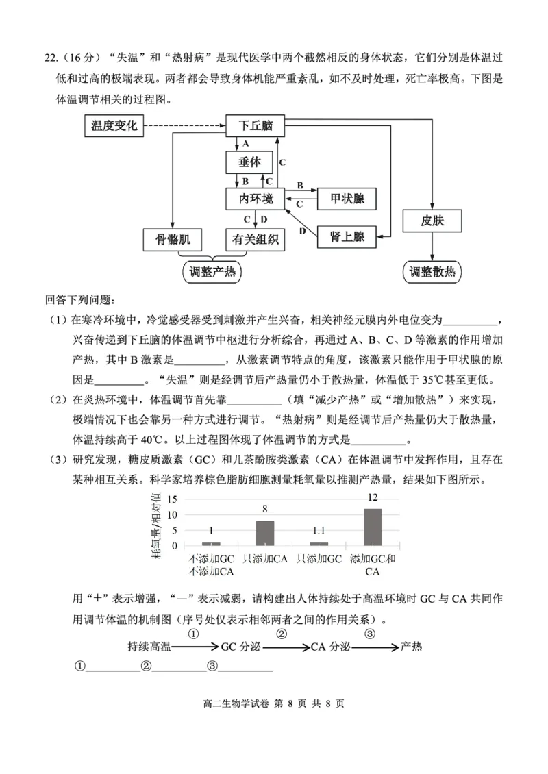 湖北省部分省级示范高中2025-2026学年高二上学期期中测试生物试卷PDF_2025年11月高二试卷_251118湖北省部分省级示范高中2025-2026学年高二上学期期中联考（全）