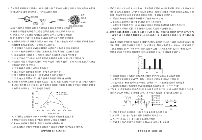 河北省衡水金卷2026届高三上学期12月联考生物_2024-2026高三（6-6月题库）_2025年12月高三试卷_251229河北省衡水金卷2026届高三上学期12月联考（全）