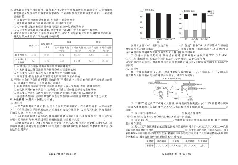 河北省衡水金卷2026届高三上学期12月联考生物_2024-2026高三（6-6月题库）_2025年12月高三试卷_251229河北省衡水金卷2026届高三上学期12月联考（全）