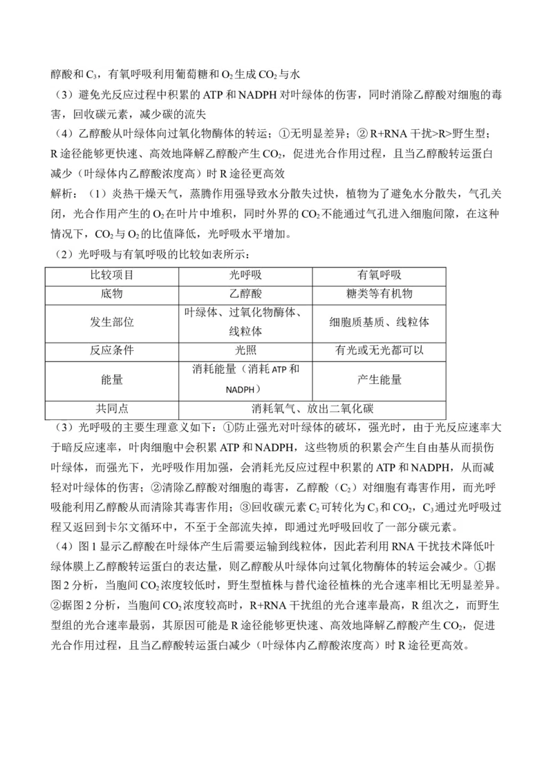 （6）光合作用&mdash;&mdash;高考生物二轮复习易错重难提升（含解析）_2024-2025高三（6-6月题库）_2026年1月高三_260104高考生物二轮复习易错重难提升（含解析）