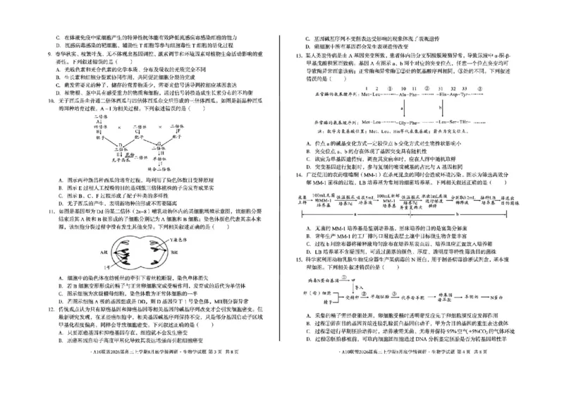 安徽省1号卷&middot;A10联盟2026届高三上学期8月底学情调研生物试题（含答案）_2024-2026高三（6-6月题库）_2025年08月试卷_2508291号卷&middot;A10联盟2026届高三上学期8月底学情调研（全科）