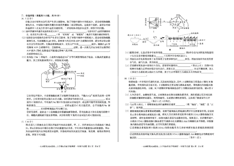 安徽省1号卷&middot;A10联盟2026届高三上学期8月底学情调研生物试题（含答案）_2024-2026高三（6-6月题库）_2025年08月试卷_2508291号卷&middot;A10联盟2026届高三上学期8月底学情调研（全科）